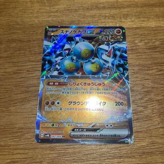 Sunanokegawa ex RR 042/066