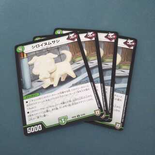 シロイヌムサシ ４枚セット