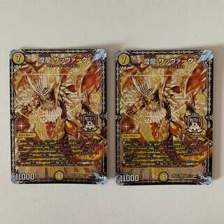 煌龍 サッヴァーク ２枚