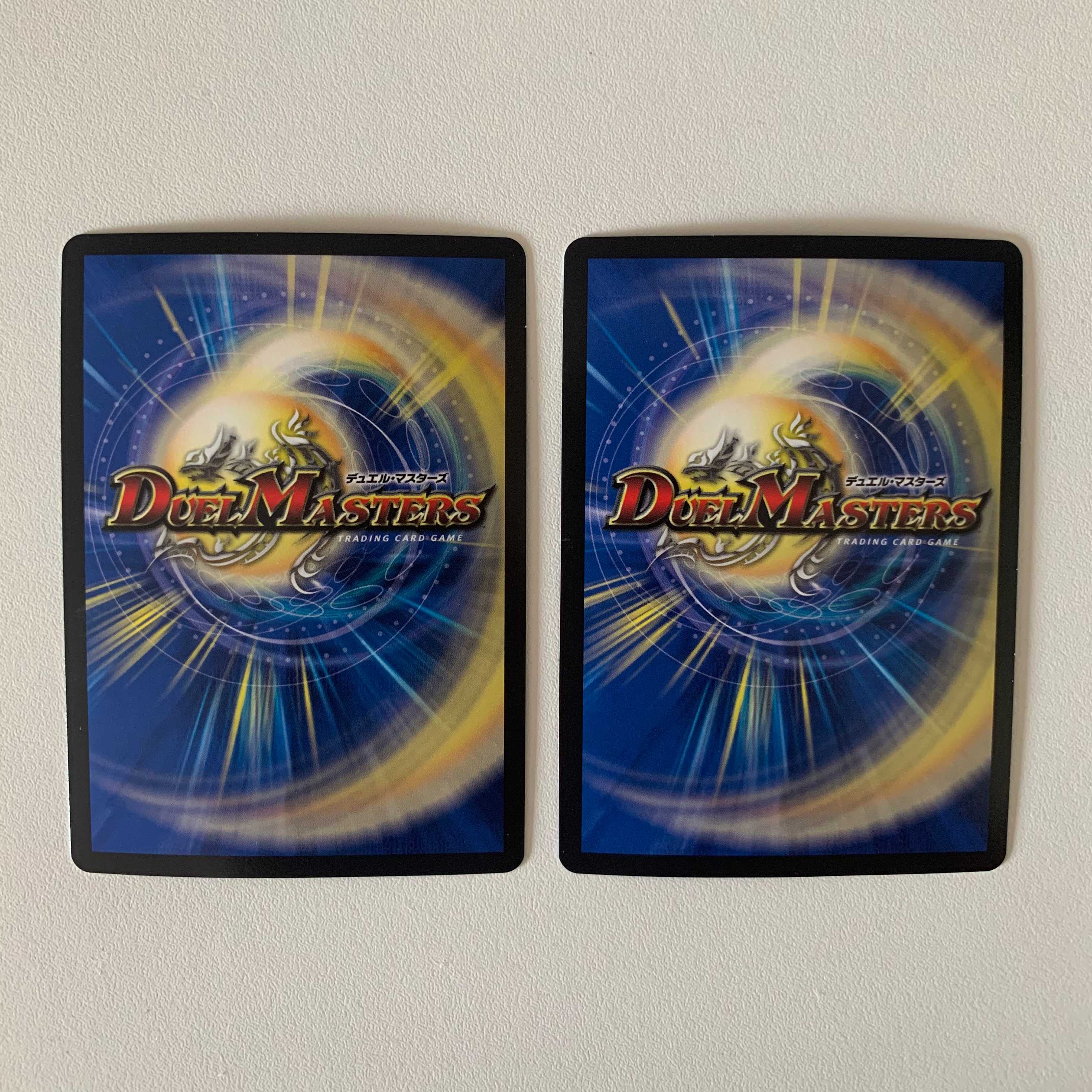 煌龍 サッヴァーク 2枚