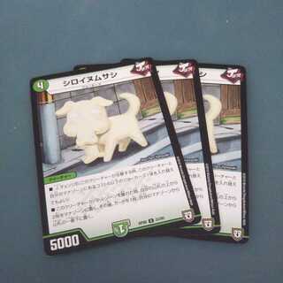 シロイヌムサシ ３枚セット