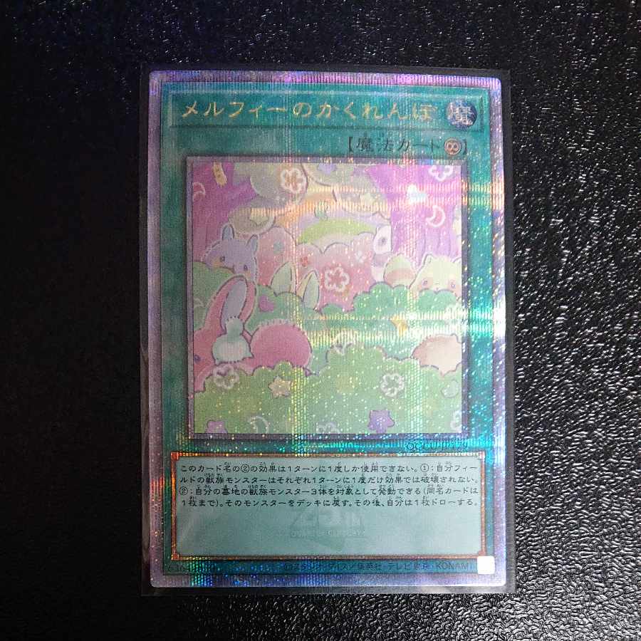 Melffy Hide-and-Seek QCSE 25th