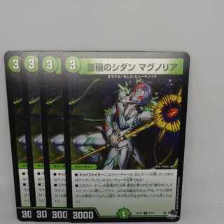 Sidan Magnolia C 70/74 in Abundance