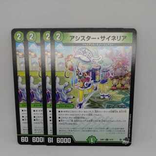 アシスター・サイネリア C 73/74