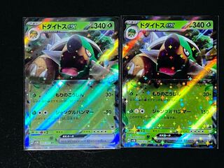 Torterraex RR 005/071