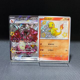 ヒトカゲ S 210/190 1枚の通販 Zoo 無言購入OK（915336578） | magi