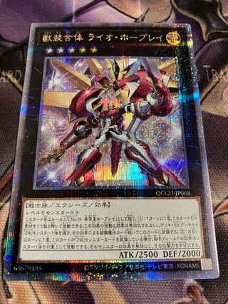 ライオ　ホープレイ　25th