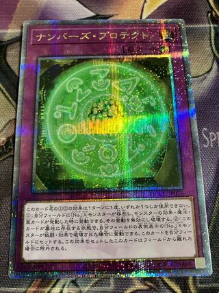 Numbers Pro Tekt 25th