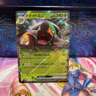 No.329 P屋 Torterraex RR 005/071