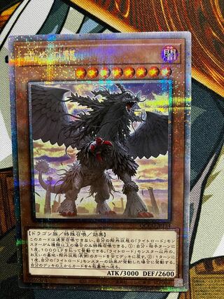 戒めの龍　クオシク　25th