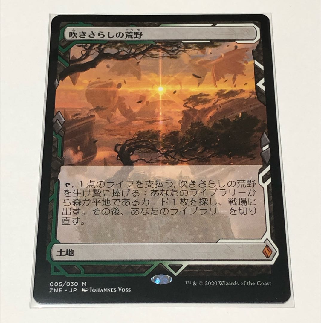 訳あり商品 MTG 吹きさらしの荒野 繁体字中国語版 旧枠 マジック：ザ 