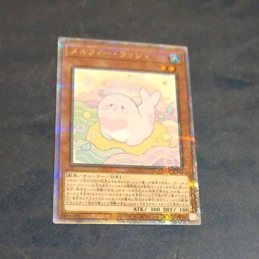 Melfi Lassi QCSE QCCU JP175 [Mokurindo