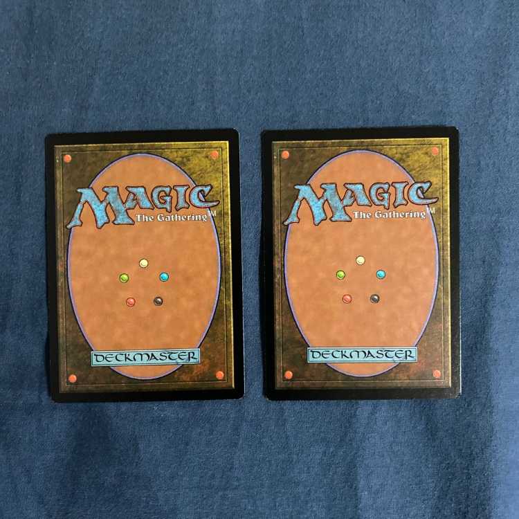 Swords to Plowshares(ICE) 2