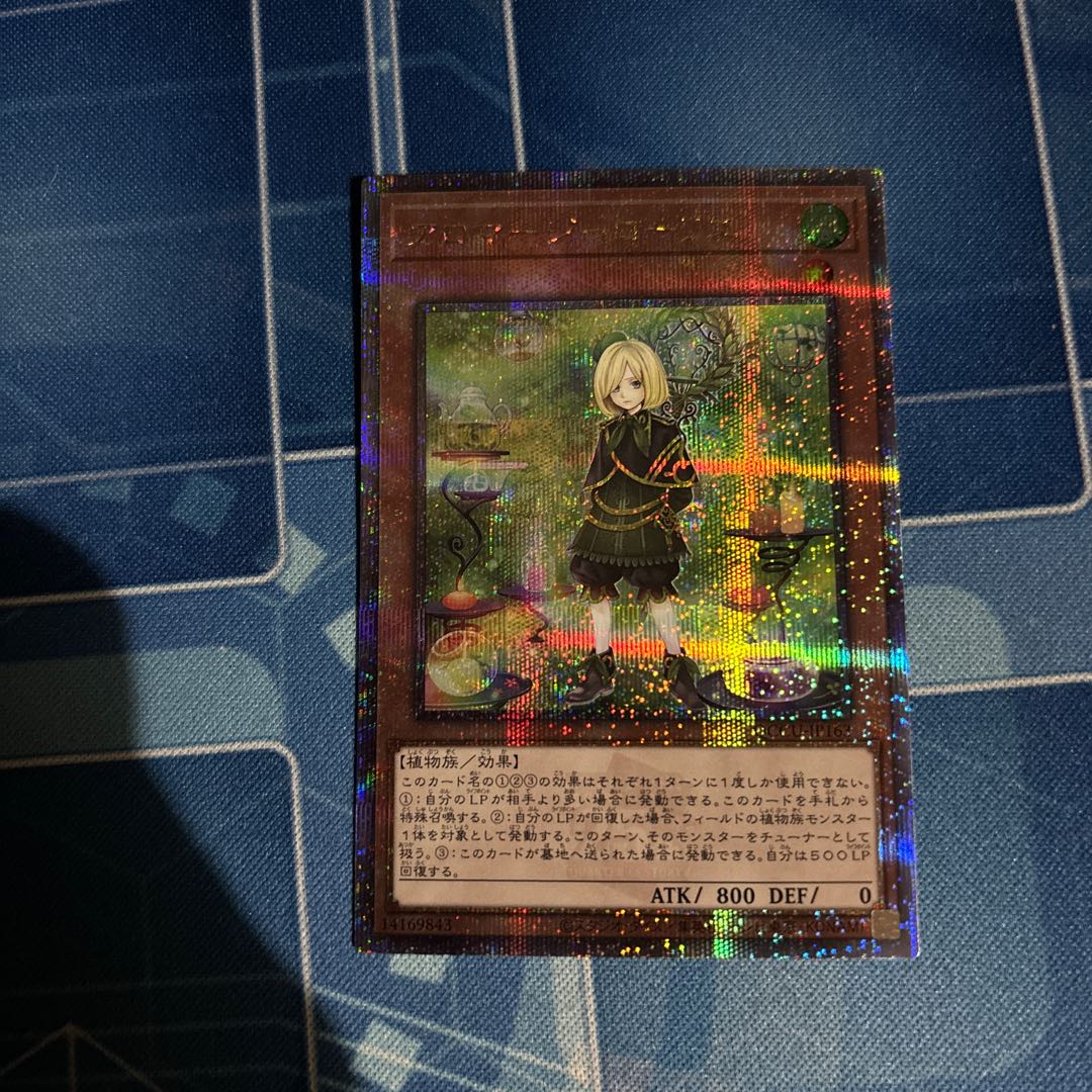 Aromage - Laurier 25th