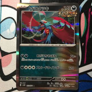 Todorokutsuki R 051/071