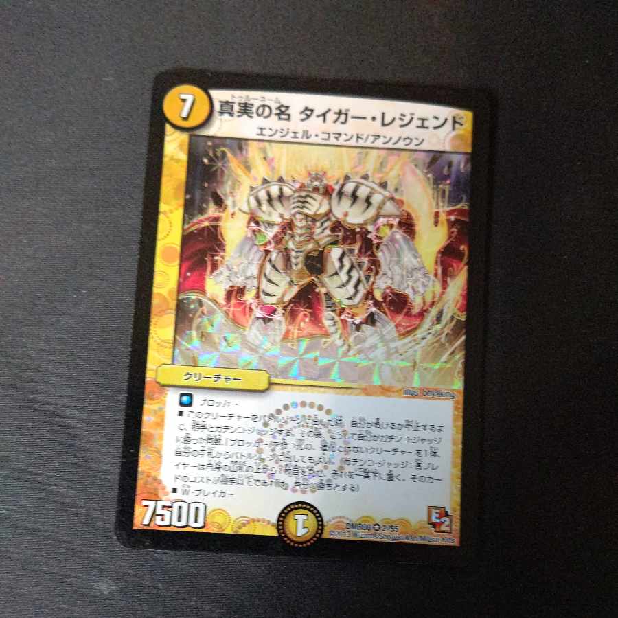 The True Name Tiger Legend VR