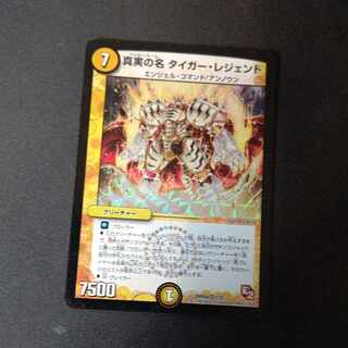 The True Name Tiger Legend VR