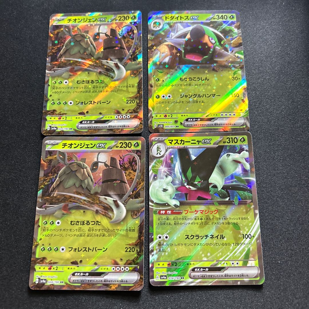 Torterraex Mascagnaex Thiongeneex