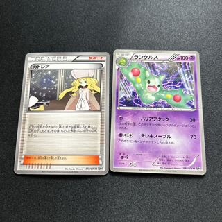 カトレアランクルス