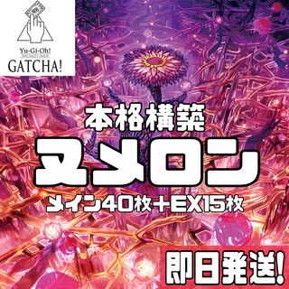 山屋　即日発送　ヌメロンデッキ　構築済みデッキ　ヌメロン・ネットワーク 即日発送！大会用【ヌメロン】デッキ 遊戯王 ヌメロン