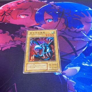 砦を守る翼竜  スーパー