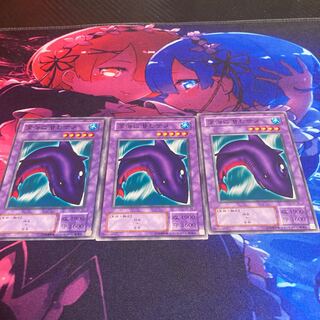 深海に潜むサメ　