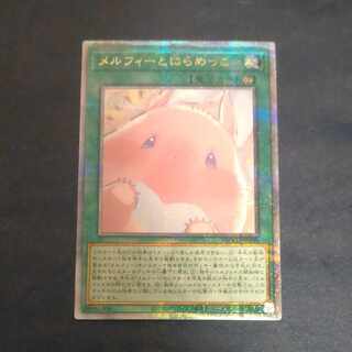 Staring at Melfi, QCSE QCCU JP180 [Korindo