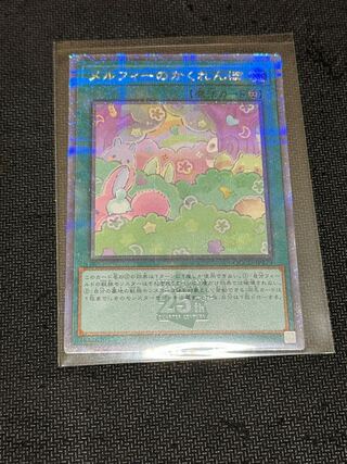 Melffy Hide-and-Seek Kuosik