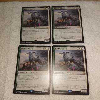 Equator Kaheera, the Orphanguard ×4