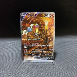 エンテイV SAR 213/172 1枚の通販 Zoo 無言購入OK（1040423871） | magi