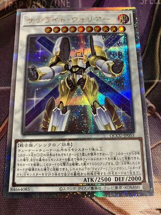 Satellite Warrior 25th