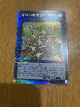 蒼翠のウィン 25th クォーターセンチュリーシークレット