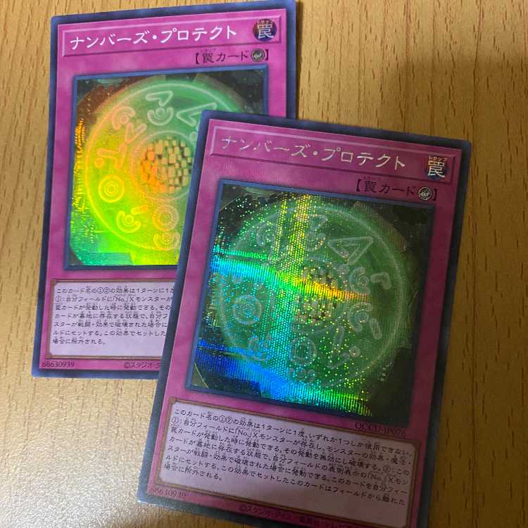 Sikh + 2 Super Numbers Protection! SE SR