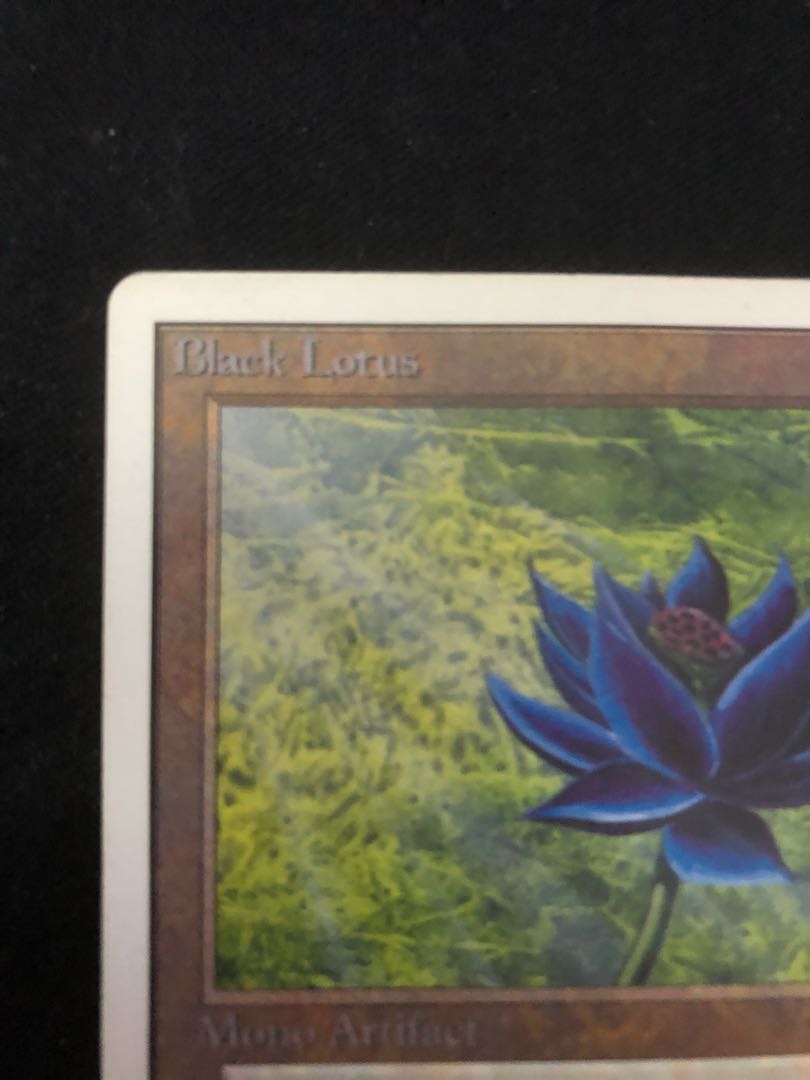 MTG Black Lotus 大判カード MTG ブラックロータス black lotus 大判カード