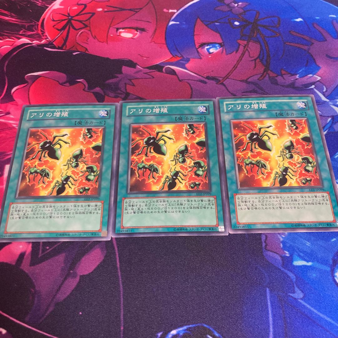 アリの増殖 ノーマル