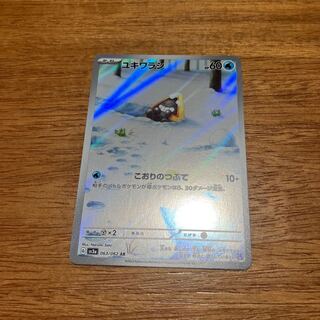 ユキワラシ AR 063/062