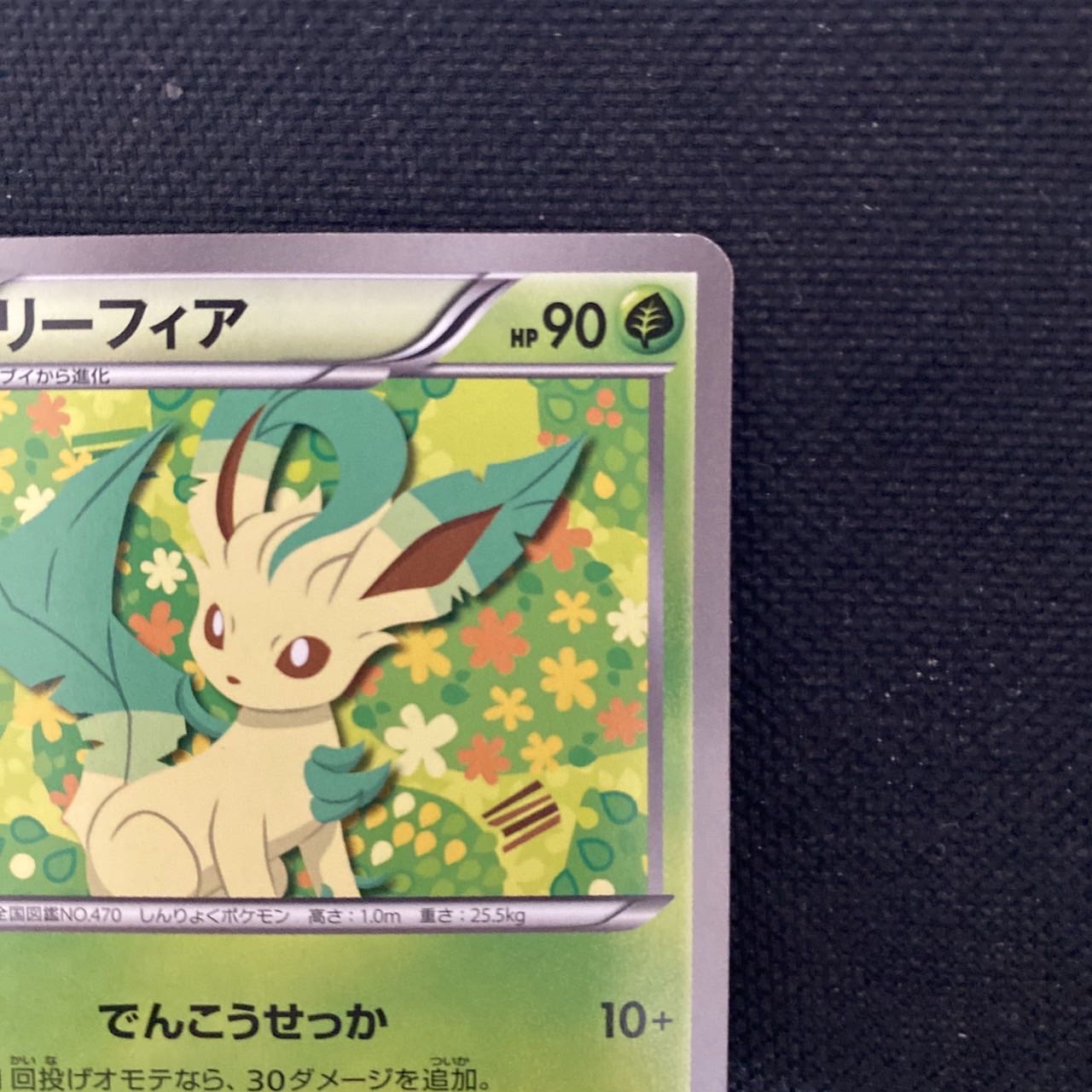 LeafeonEevee Collection