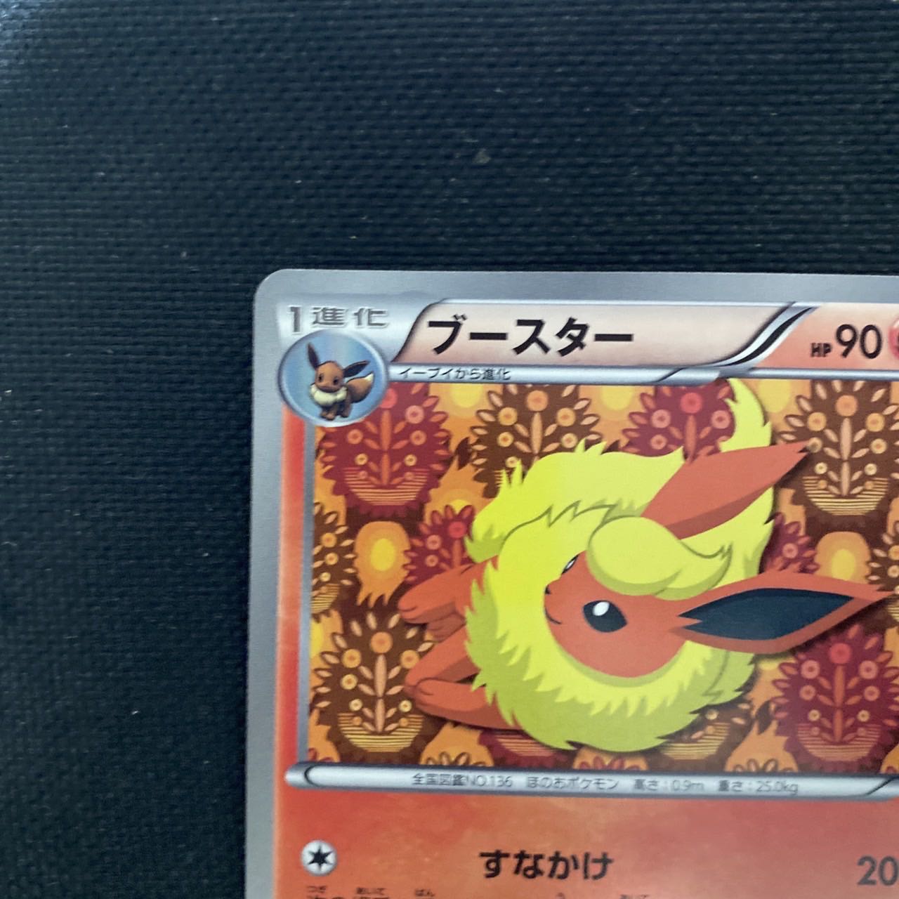 FlareonEevee Collection