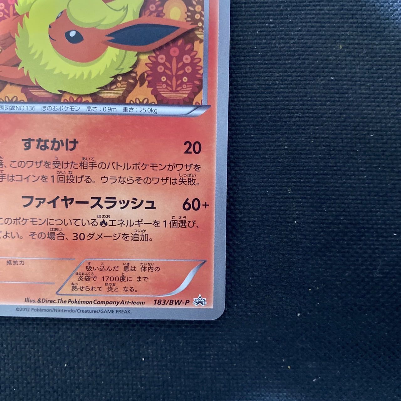 FlareonEevee Collection