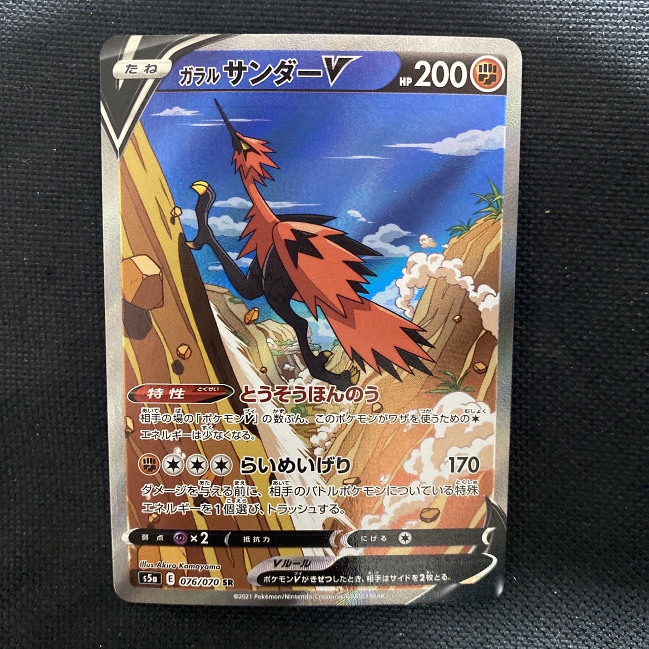 ガラルサンダーv sa