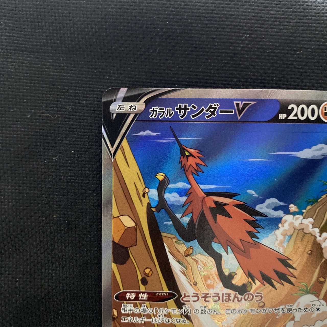 ガラルサンダーv sa