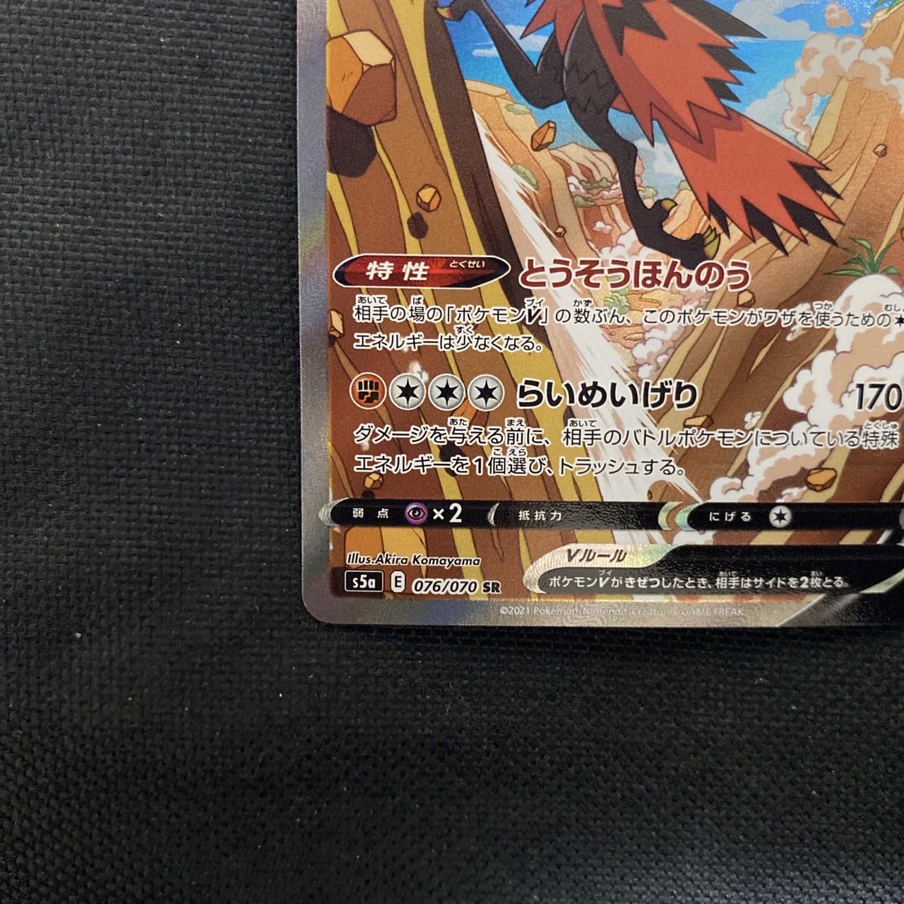 ガラルサンダーv sa