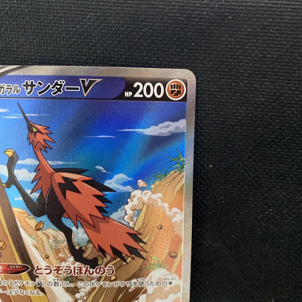 ガラルサンダーv sa