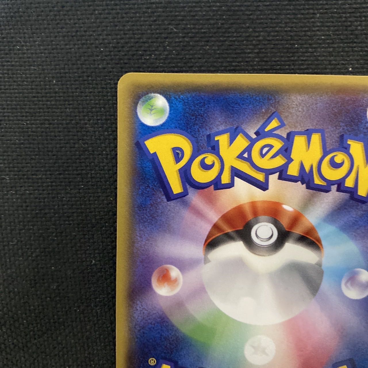 Raichu & Arora Raichugx sa