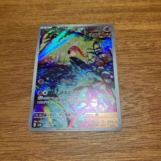 サケブシッポ AR 071/066