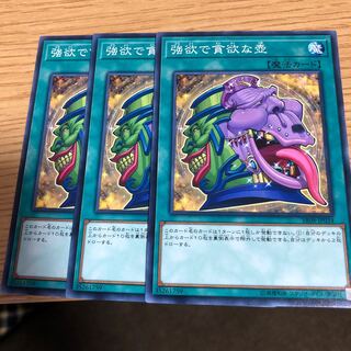 強欲で貪欲な壺 N