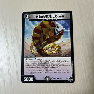 忍蛇の聖沌 c0br4 R 17/74