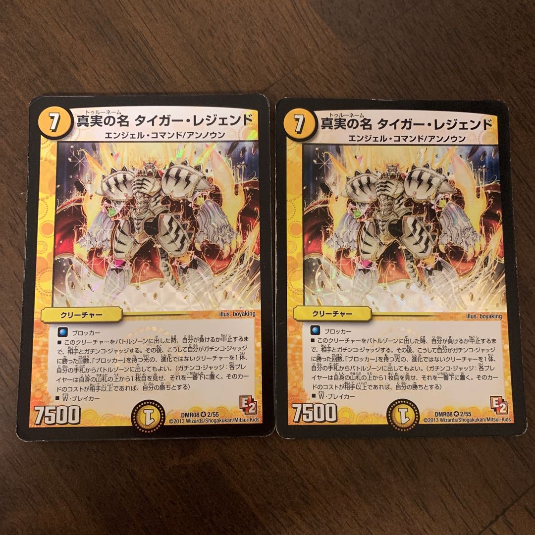 The True Name Tiger Legend VR