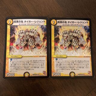 The True Name Tiger Legend VR