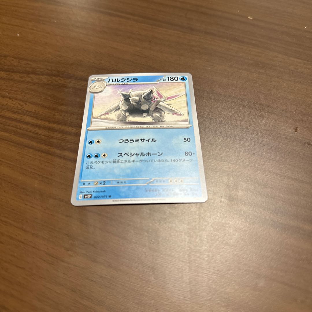 Baird's beaked whale (Berardius bairdii)